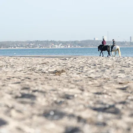 Wohnpark Am Muehlenteich - 17 טימנדורפר שטרנד